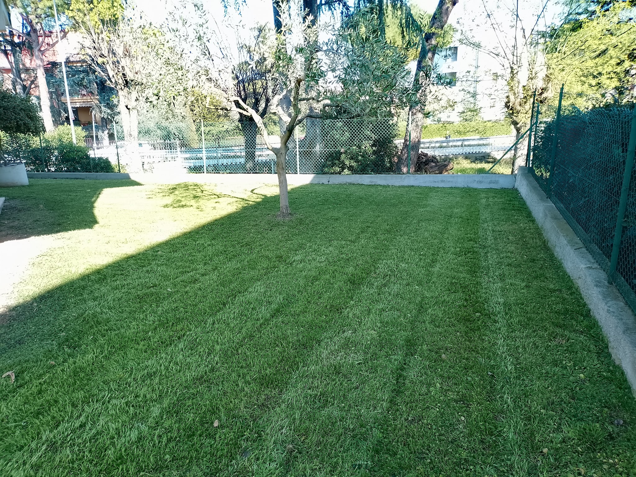 Prato appena curato in un giardino residenziale
