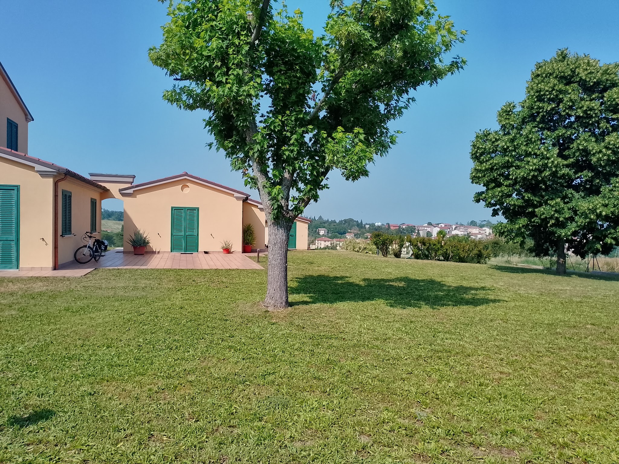 Ampio prato curato con alberi